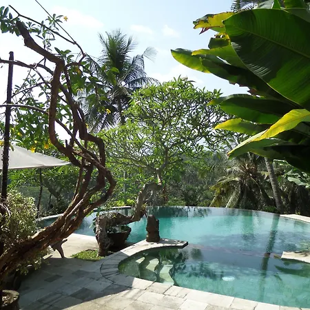 Sayan Terrace Resort-2